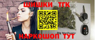 сатива Кингисепп
