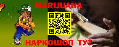 сатива Кингисепп