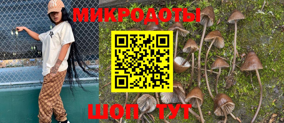 Галлюциногенные грибы MAGIC MUSHROOMS Арзамас